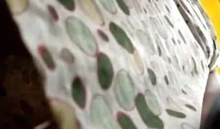 Eles tornam o filmes caseiro gratis estereótipo tímido