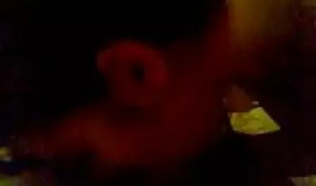 Melhor bunda membro passeio porno gratis mulheres com animais Moscou