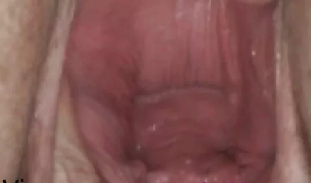 Cabelos curtos morena em uma cama pequena foda vídeo pornô grátis mulher transando com cachorro