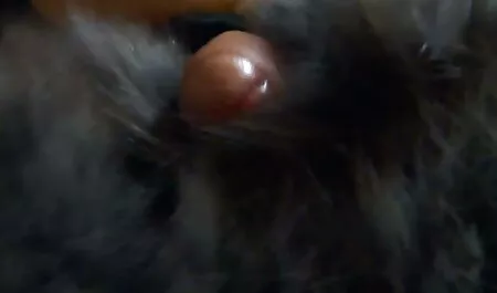 Modelo no cu vídeo pornô grátis anal primeiro tiro